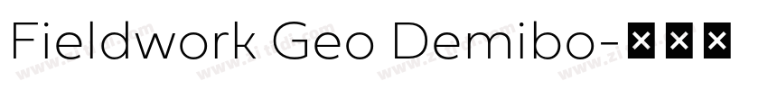 Fieldwork Geo Demibo字体转换